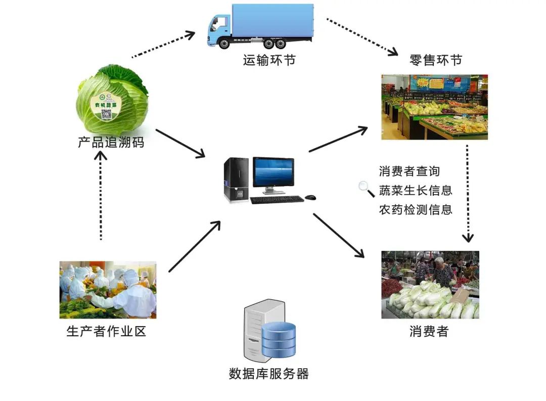 創(chuàng)新農(nóng)產(chǎn)品供應(yīng)鏈模式,推進(jìn)農(nóng)業(yè)高質(zhì)量發(fā)展 - 騰來(lái)霧往