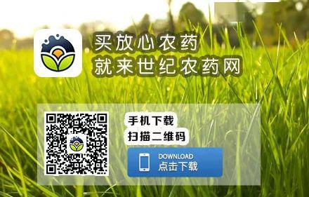 一天中打農(nóng)藥最好的時(shí)間是幾點(diǎn) 有露水比沒(méi)露水打,雜草死得更快