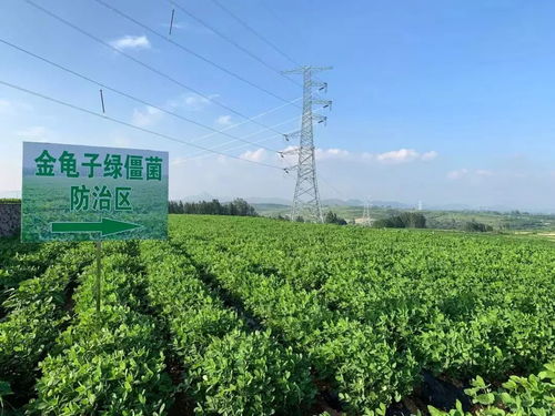 農(nóng)藥殘留不可怕,做好這幾點(diǎn),食品安全有保障