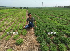 行業(yè)新聞